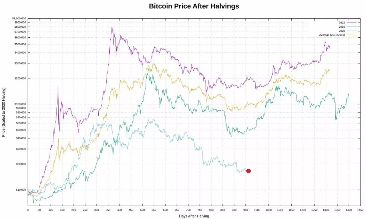 BTC and Halving exchange rate dynamics 
